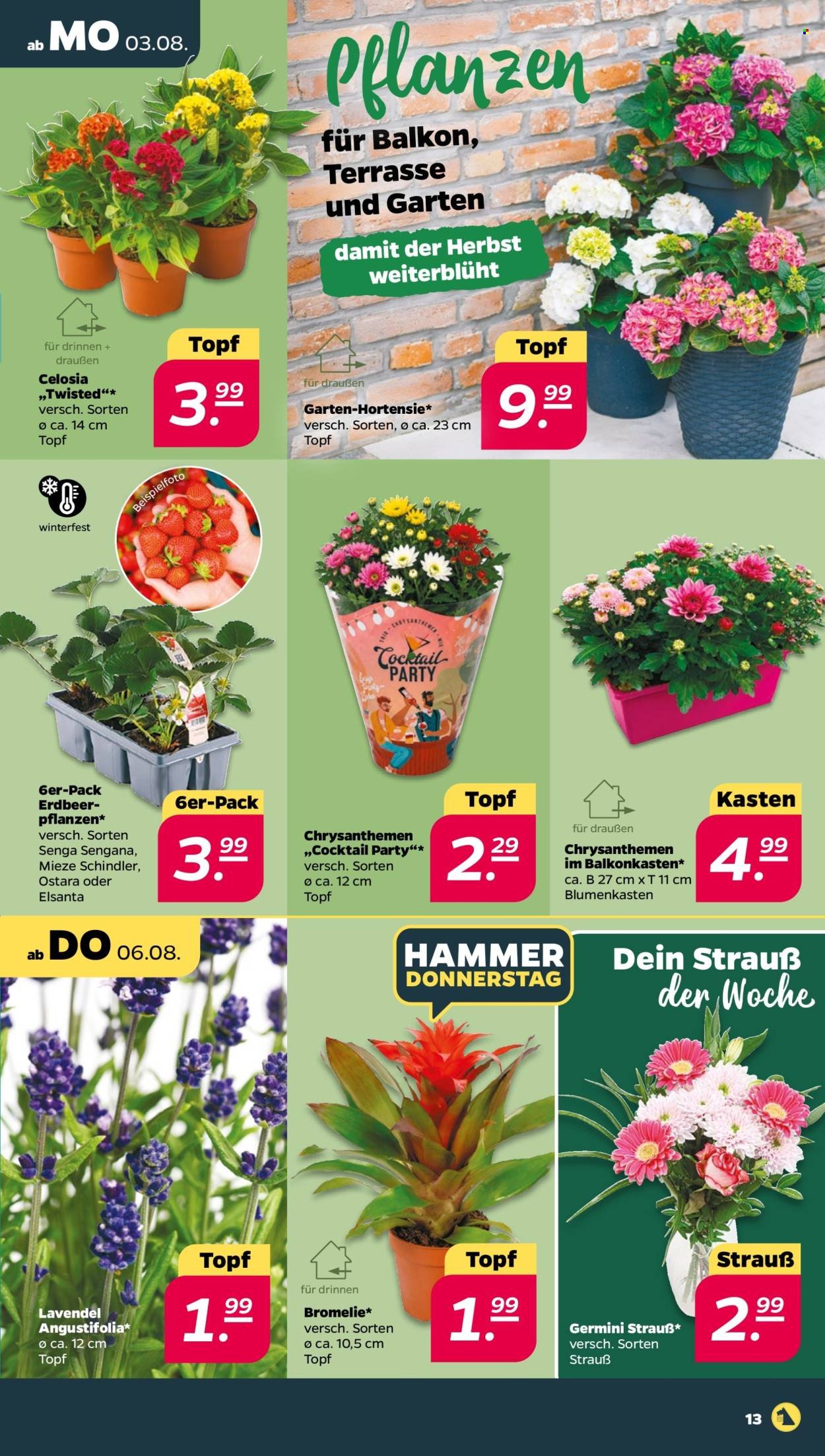 NETTO Prospekt - Woche 32