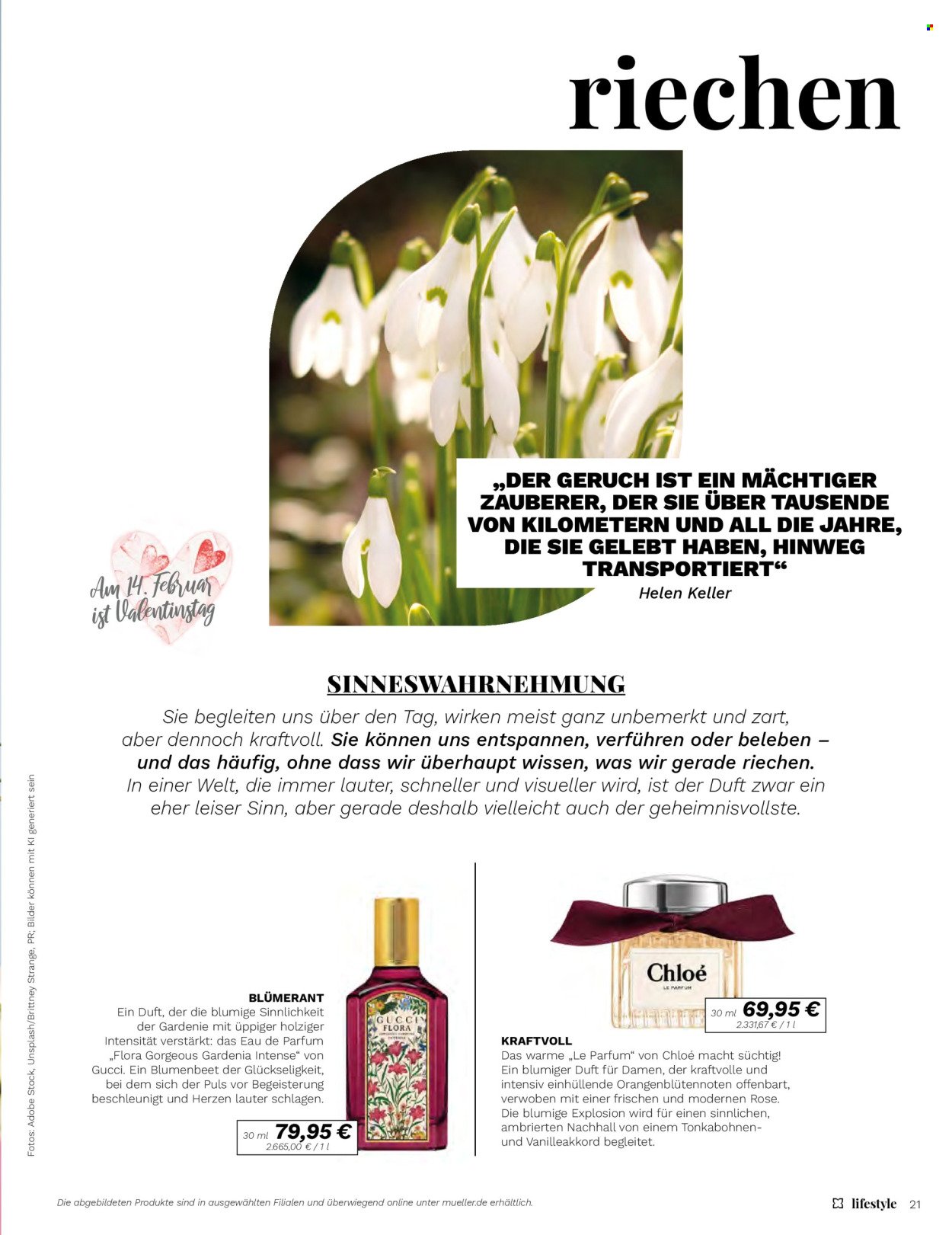 MÜLLER Prospekt - Lifestyle (2026-01-01 - 2026-02-28)