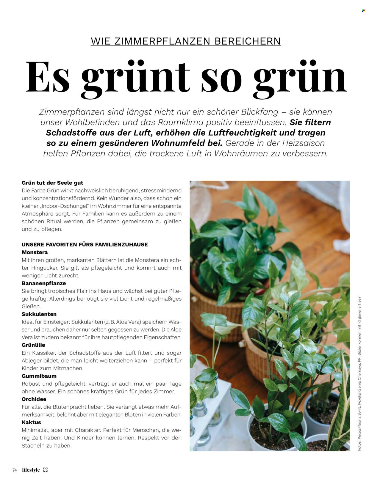 MÜLLER Prospekt - Lifestyle (2026-01-01 - 2026-02-28)