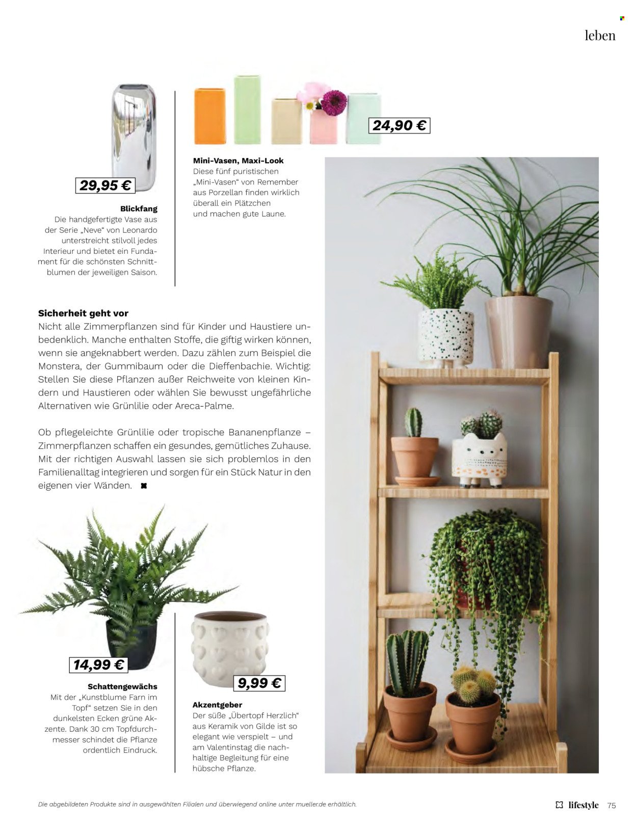 MÜLLER Prospekt - Lifestyle (2026-01-01 - 2026-02-28)