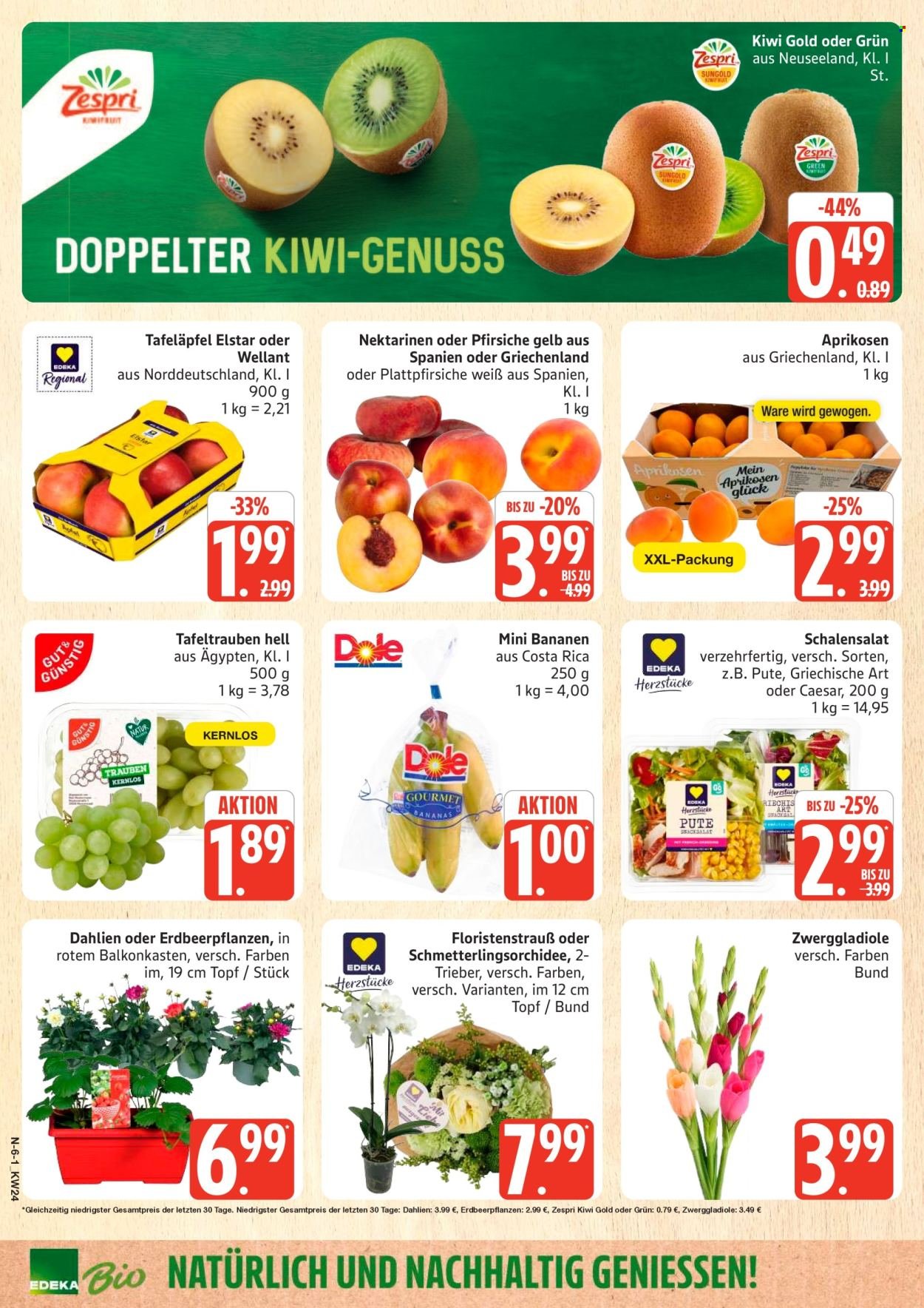 MARKTKAUF Prospekt - Ab Montag 8.06.2026