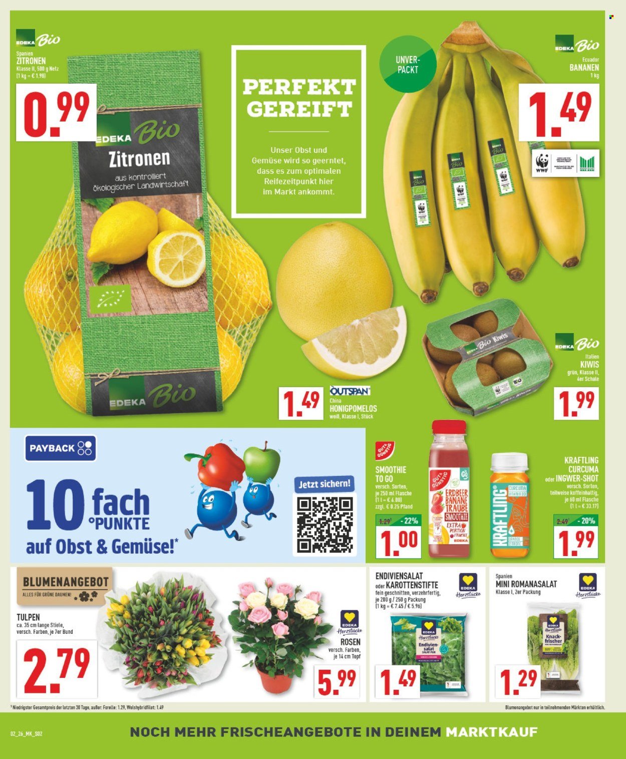 MARKTKAUF Prospekt - Ab Montag 5.01.2026