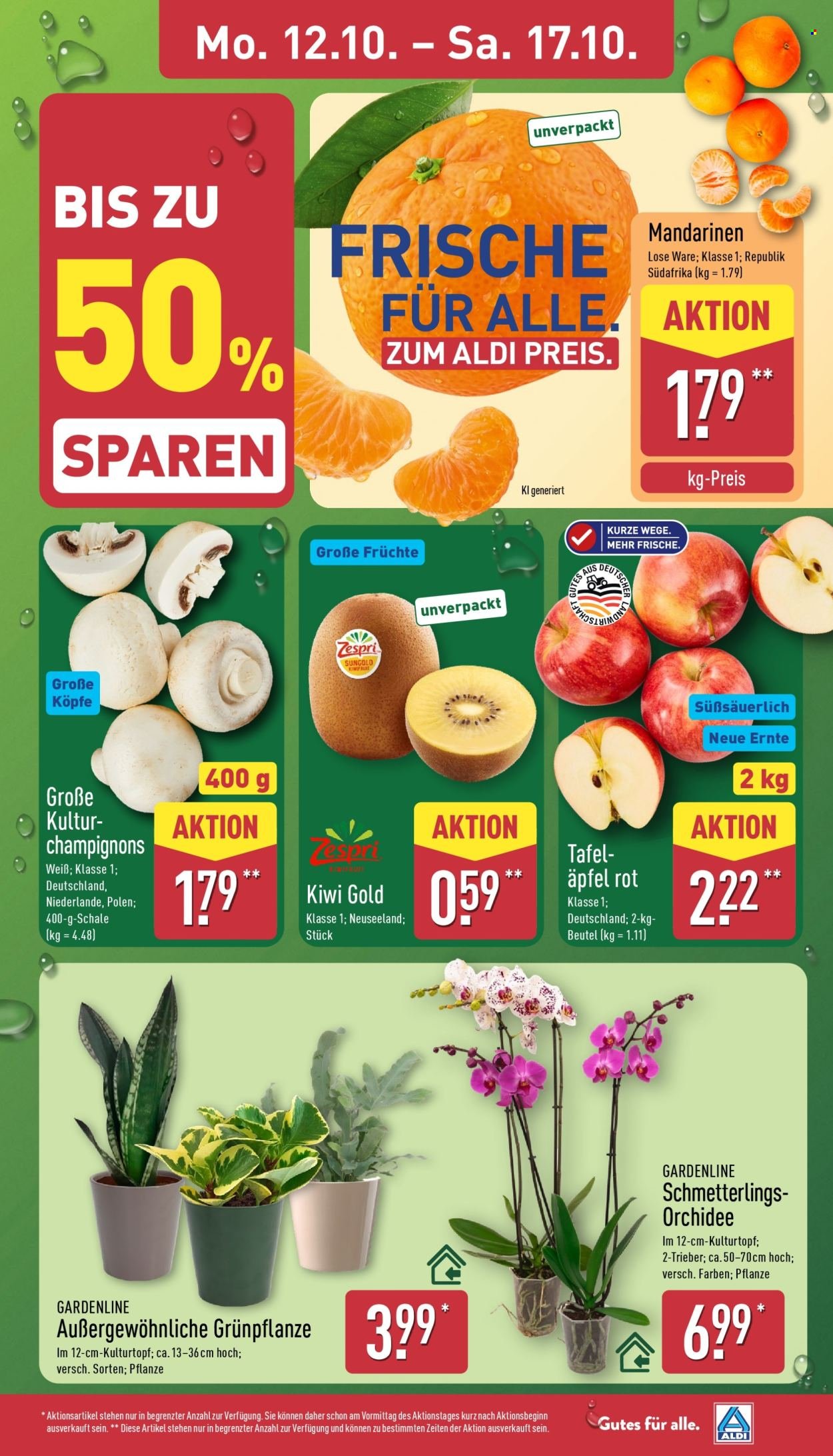 ALDI NORD Prospekt - Ab Montag 12.10.2026
