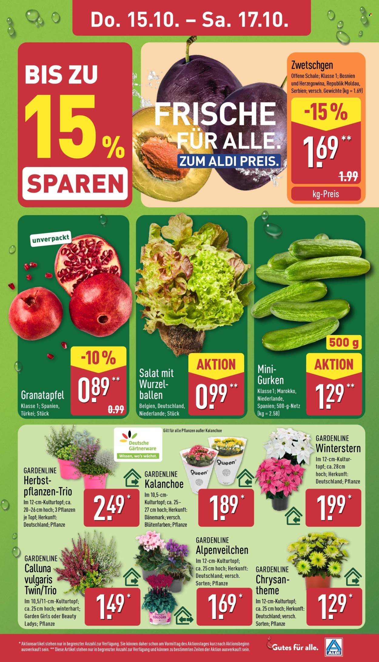 ALDI NORD Prospekt - Ab Montag 12.10.2026