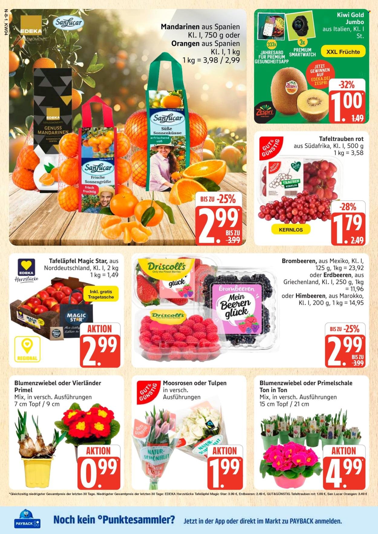 MARKTKAUF Prospekt - Ab Montag 19.01.2026