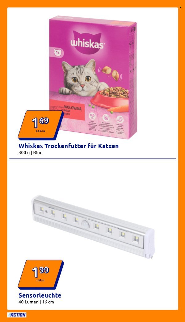 ACTION Prospekt - Ab Mittwoch 11.02.2026