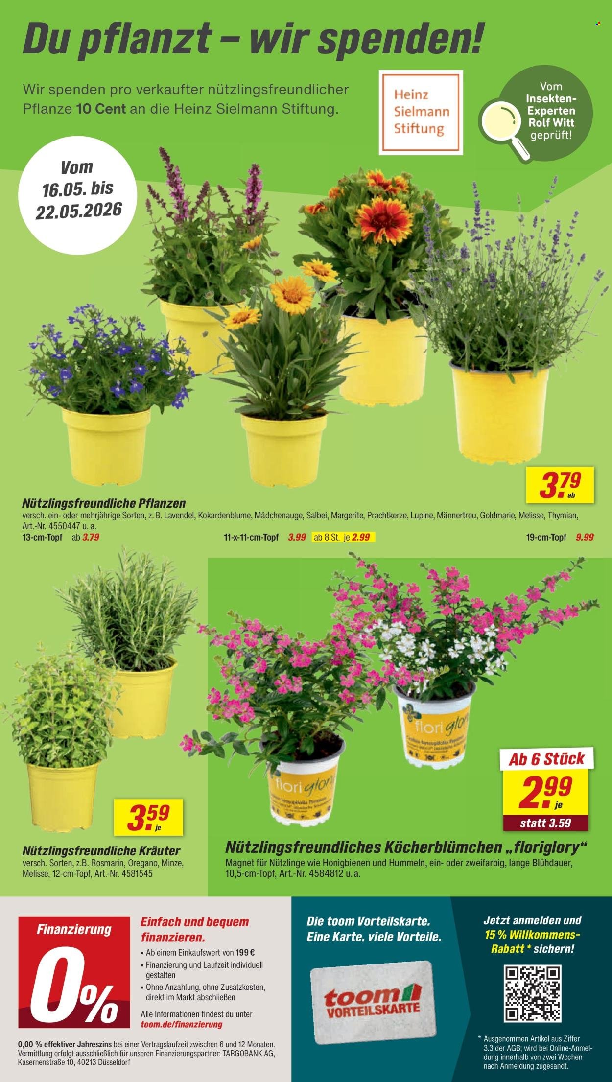 TOOM BAUMARKT Prospekt - Ab Samstag 16.05.2026