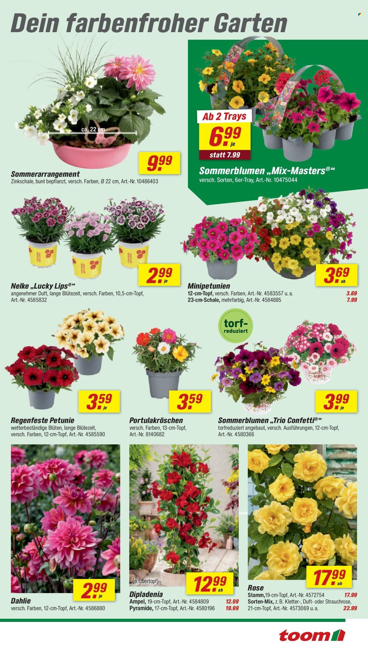TOOM BAUMARKT Prospekt - Ab Samstag 16.05.2026