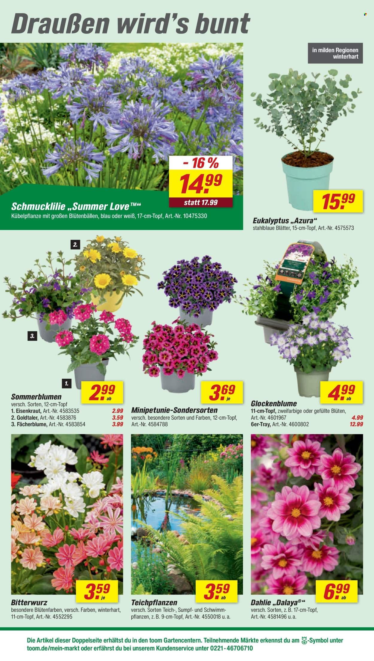 TOOM BAUMARKT Prospekt - Ab Samstag 16.05.2026