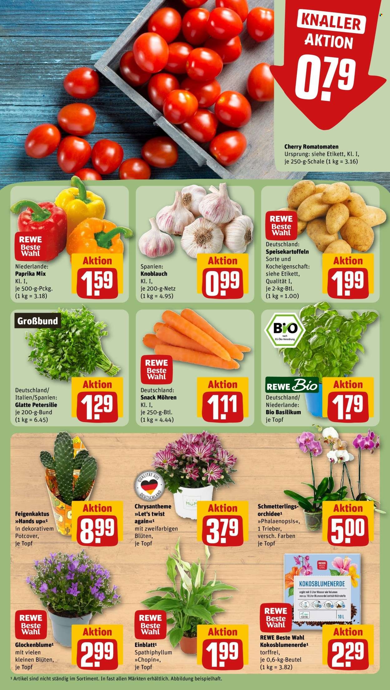REWE Prospekt - Ab Montag 10.08.2026