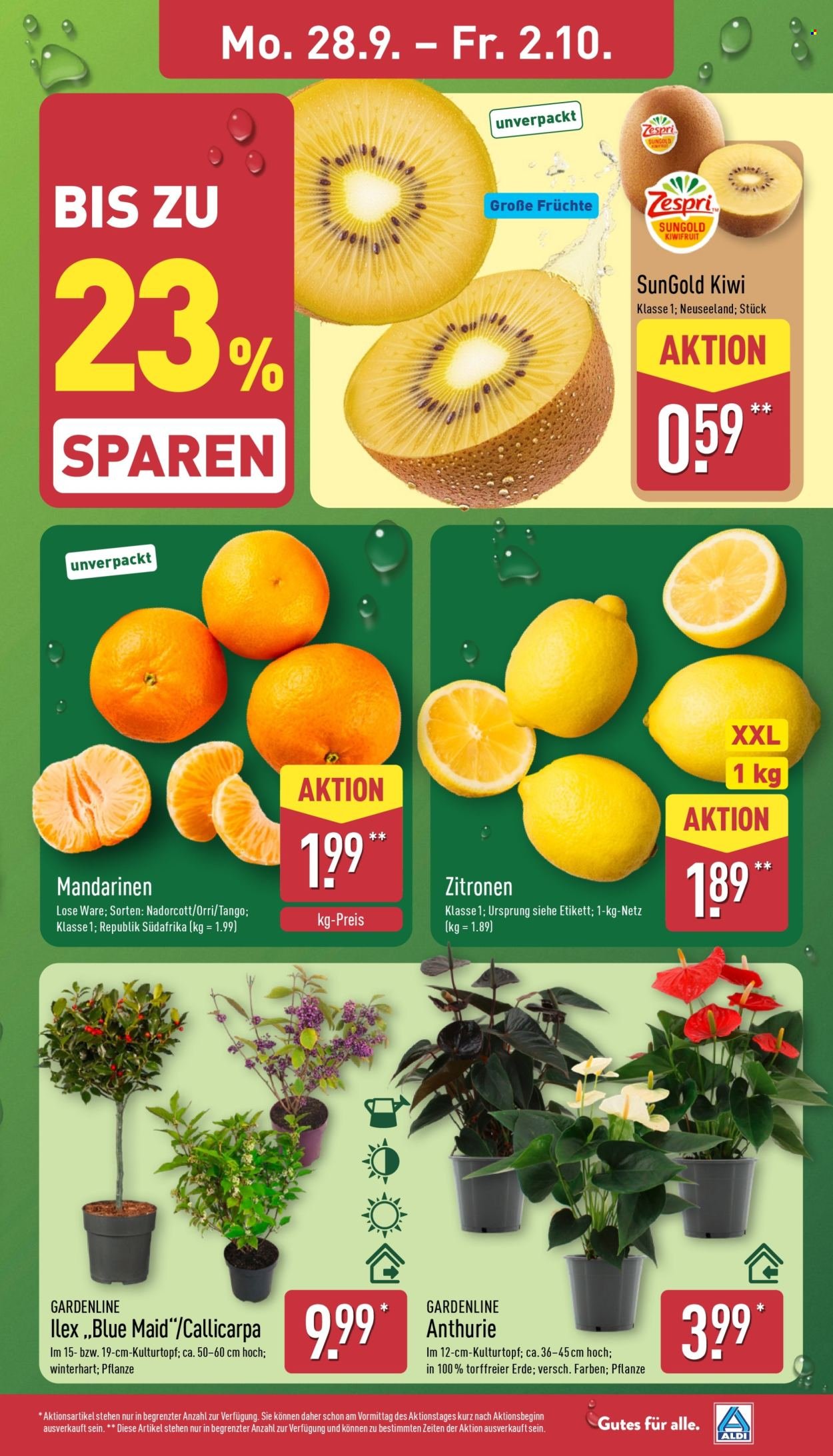 ALDI NORD Prospekt - Ab Montag 28.09.2026