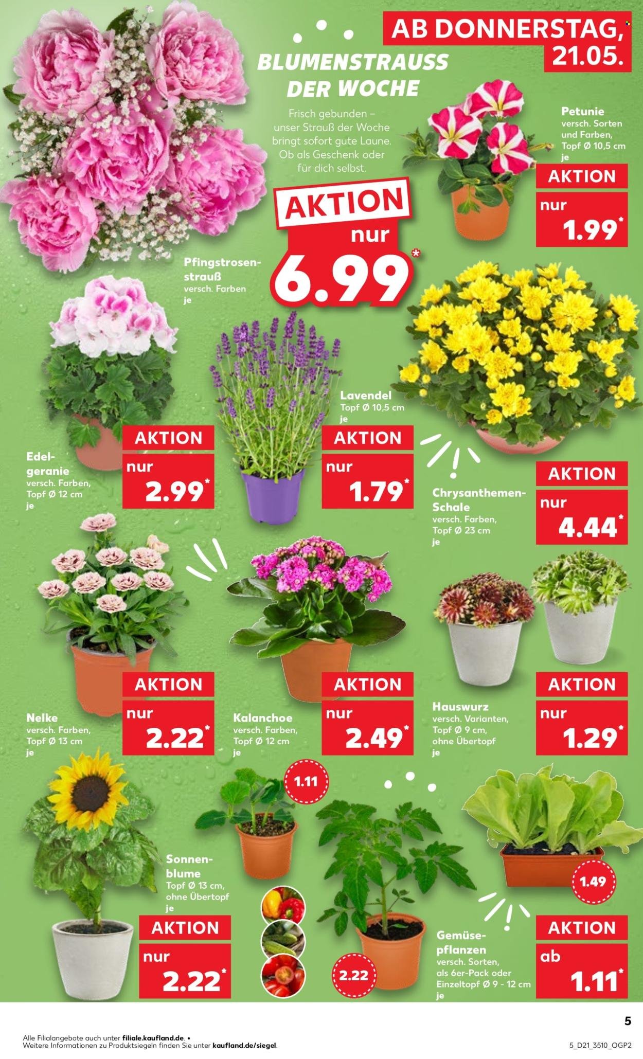 KAUFLAND Prospekt - Ab Donnerstag 21.05.2026 (2026-05-21 - 2026-05-27)