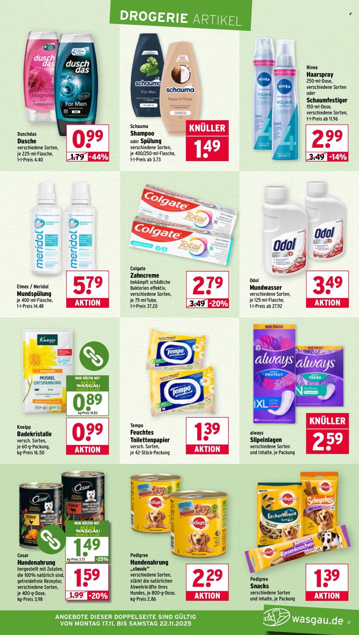 WASGAU Prospekt - Ab Montag 17.11.2025