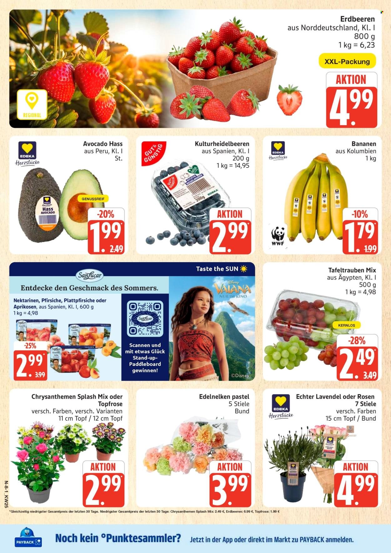 MARKTKAUF Prospekt - Ab Montag 15.06.2026