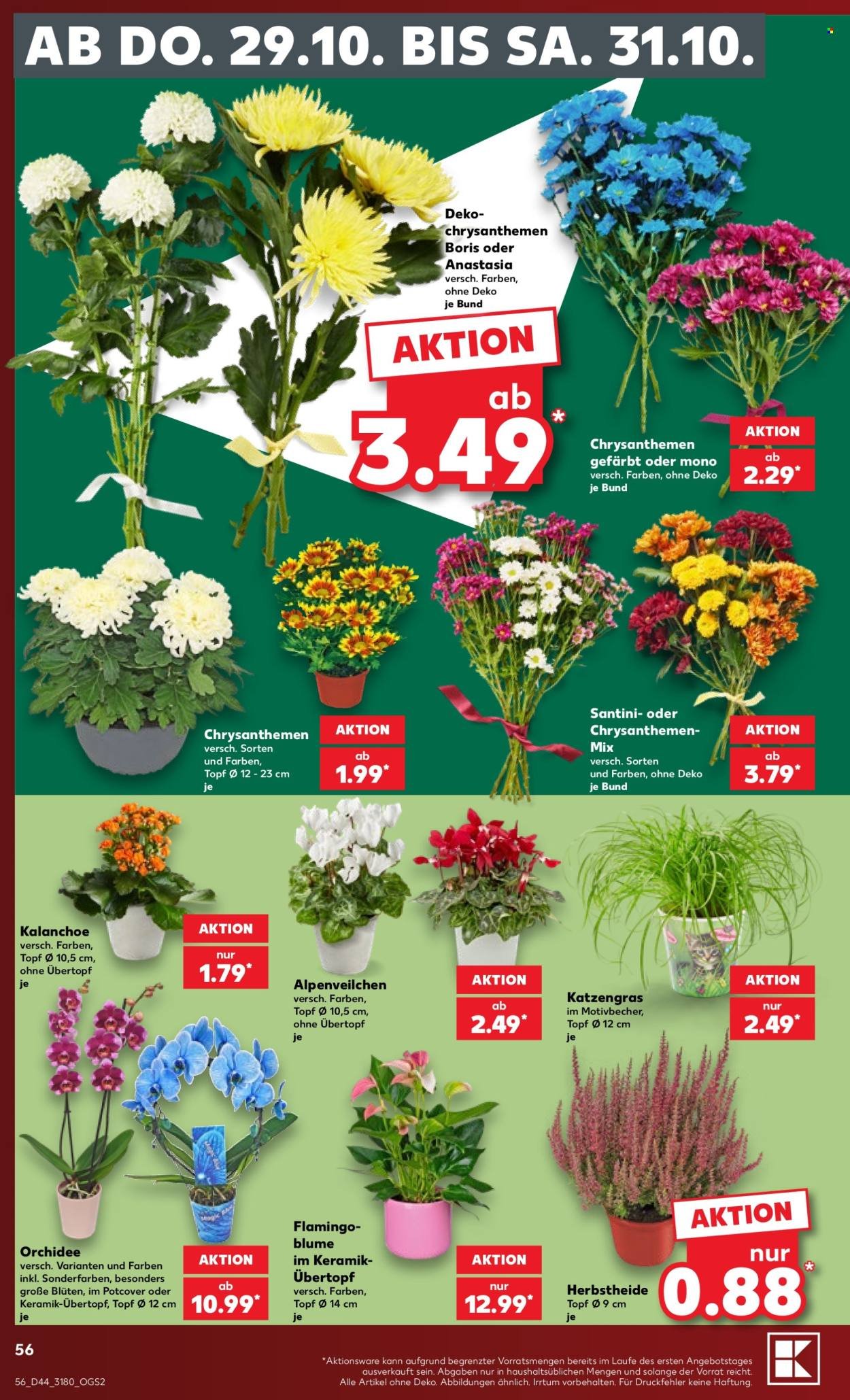 KAUFLAND Prospekt - Ab Montag 26.10.2026