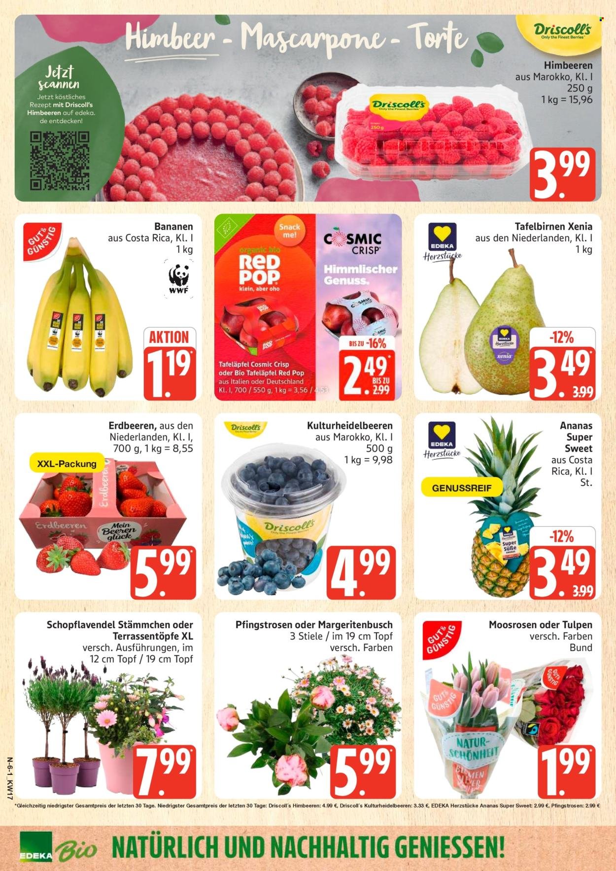 MARKTKAUF Prospekt - Ab Montag 20.04.2026 (2026-04-20 - 2026-04-25)