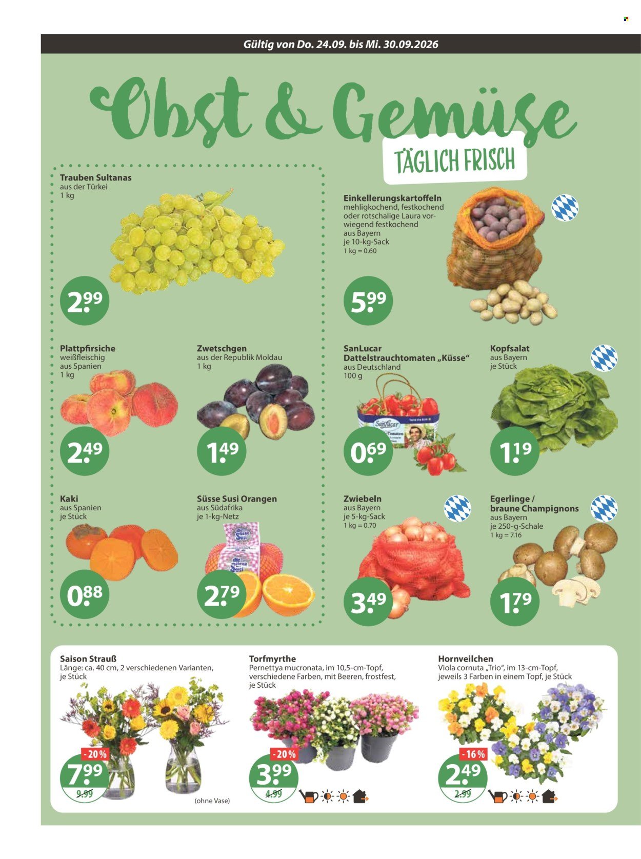 V-MARKT Prospekt - Ab Donnerstag 24.09.2026