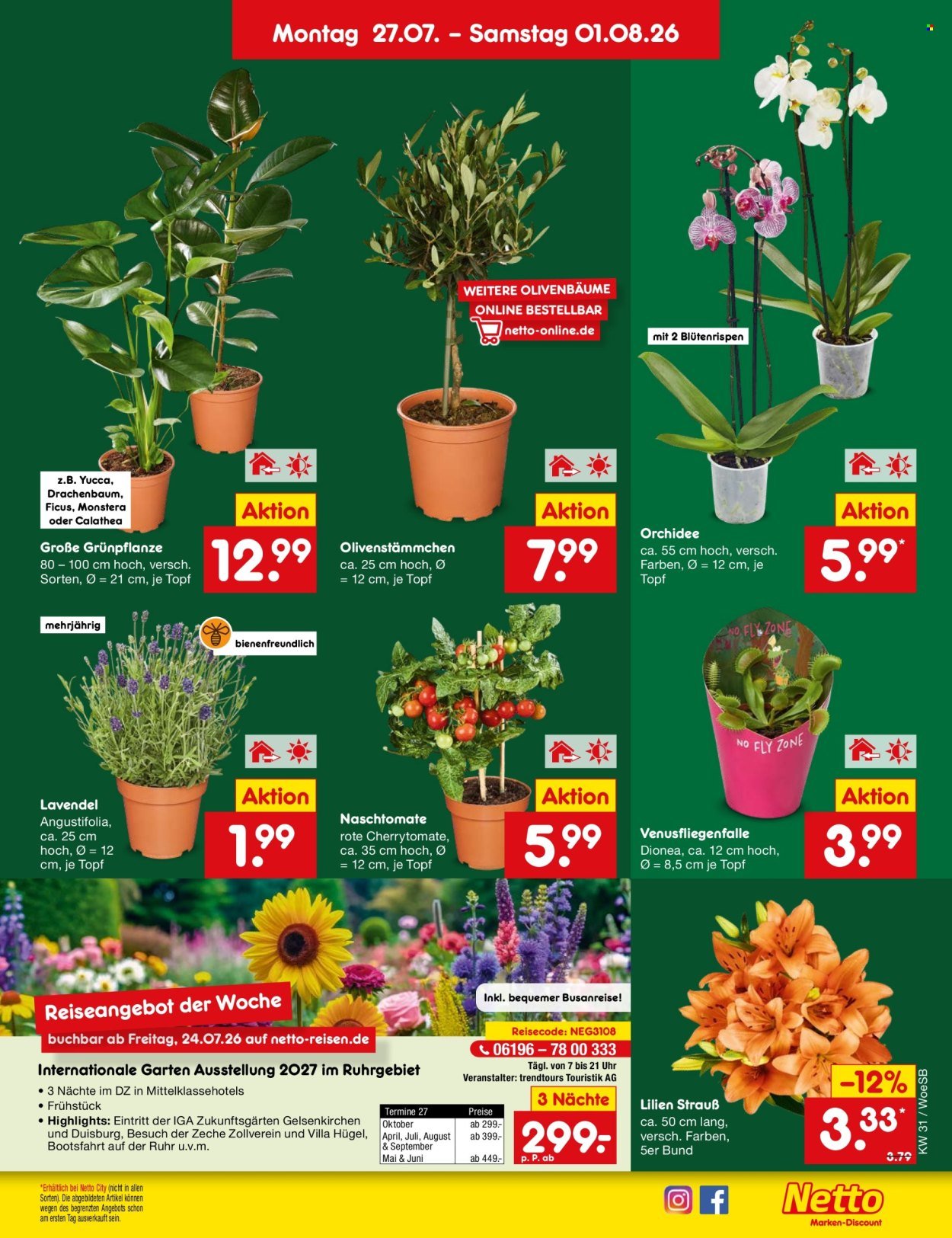 NETTO MARKEN-DISCOUNT Prospekt - Ab Montag 27.07.2026