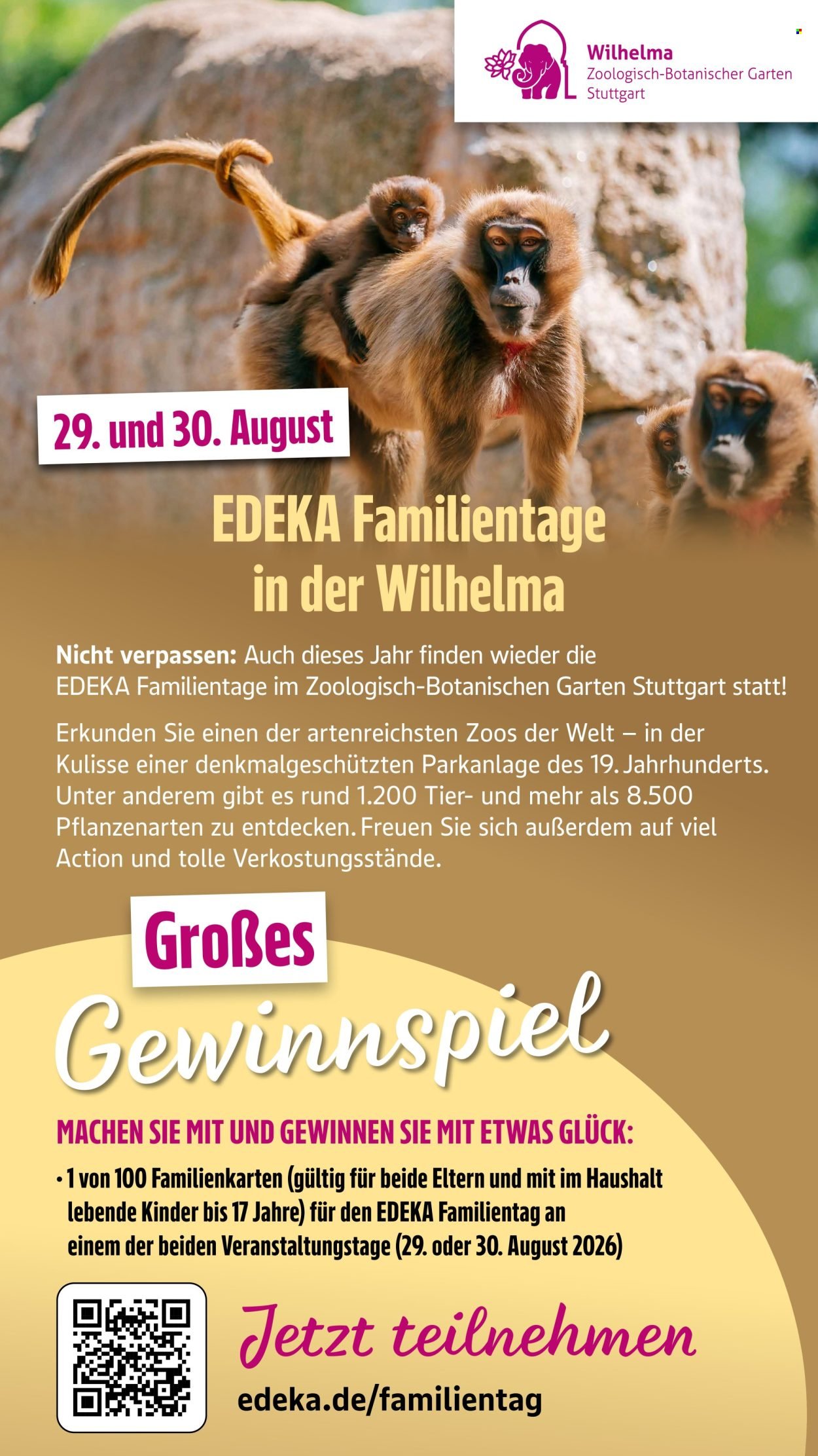 EDEKA Prospekt - Ab Montag 6.07.2026