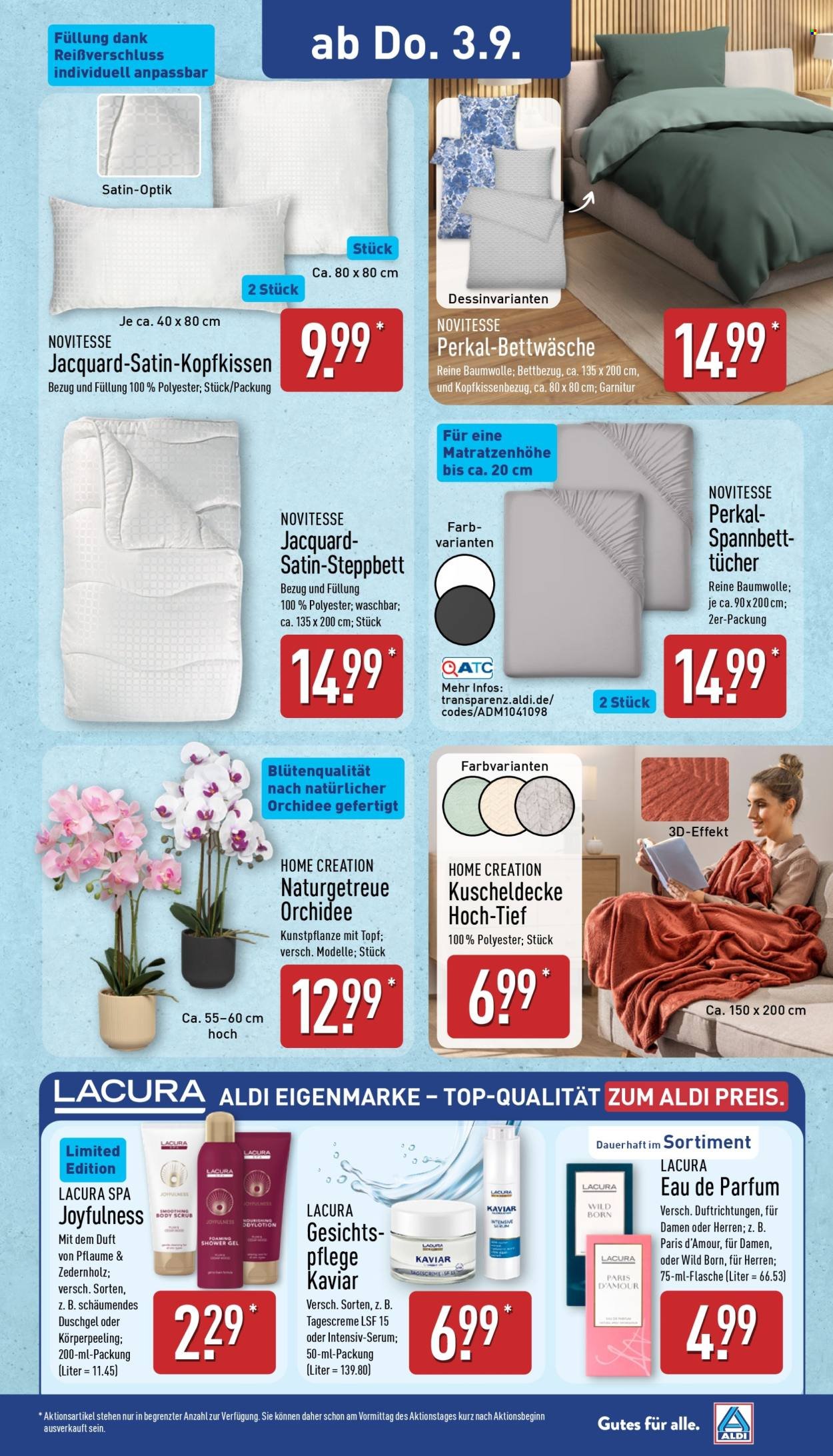 ALDI NORD Prospekt - Ab Montag 31.08.2026