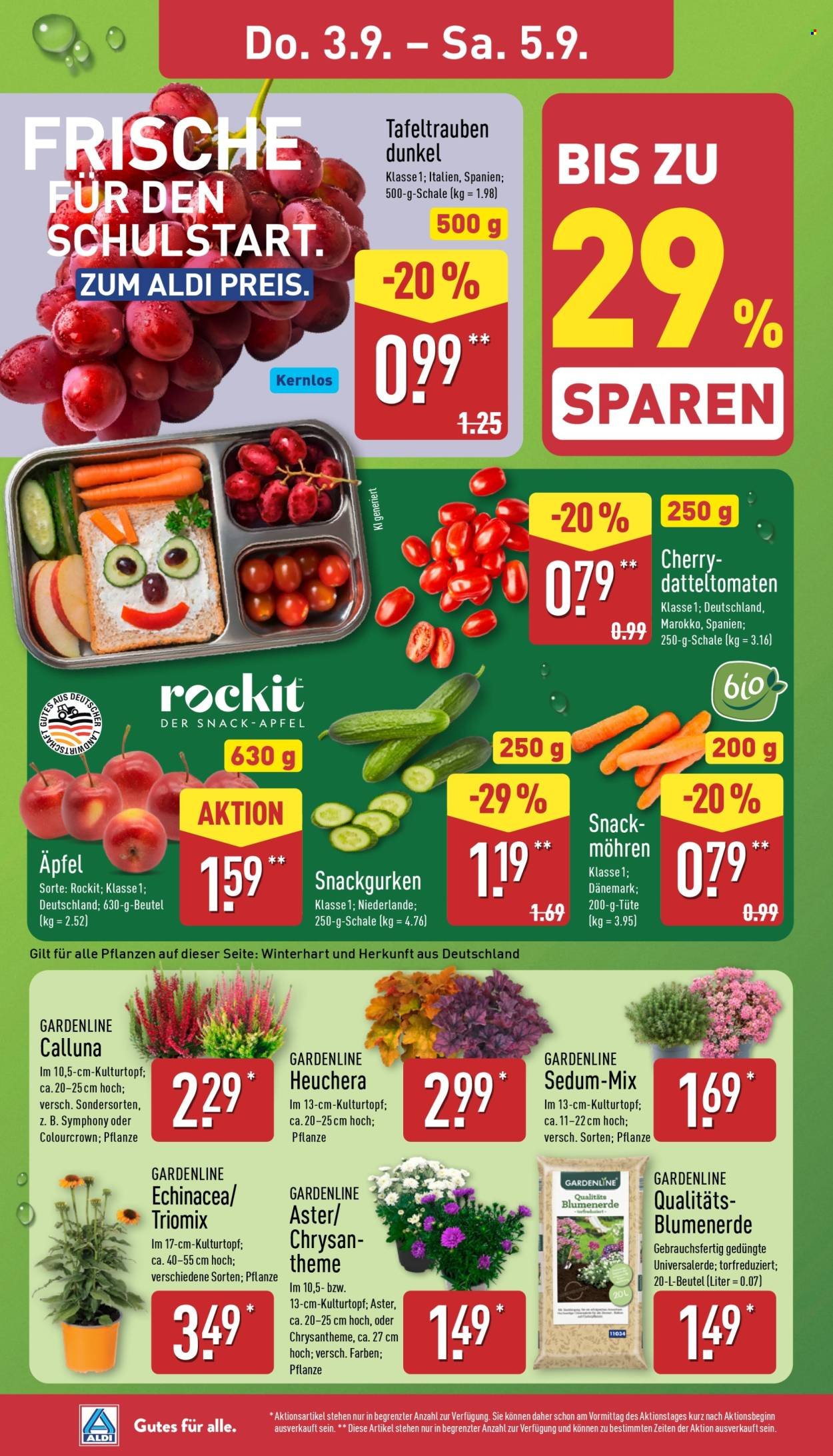 ALDI NORD Prospekt - Ab Montag 31.08.2026