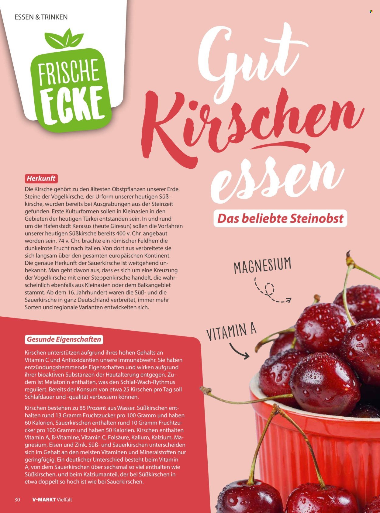 V-MARKT Prospekt - Vielfalt