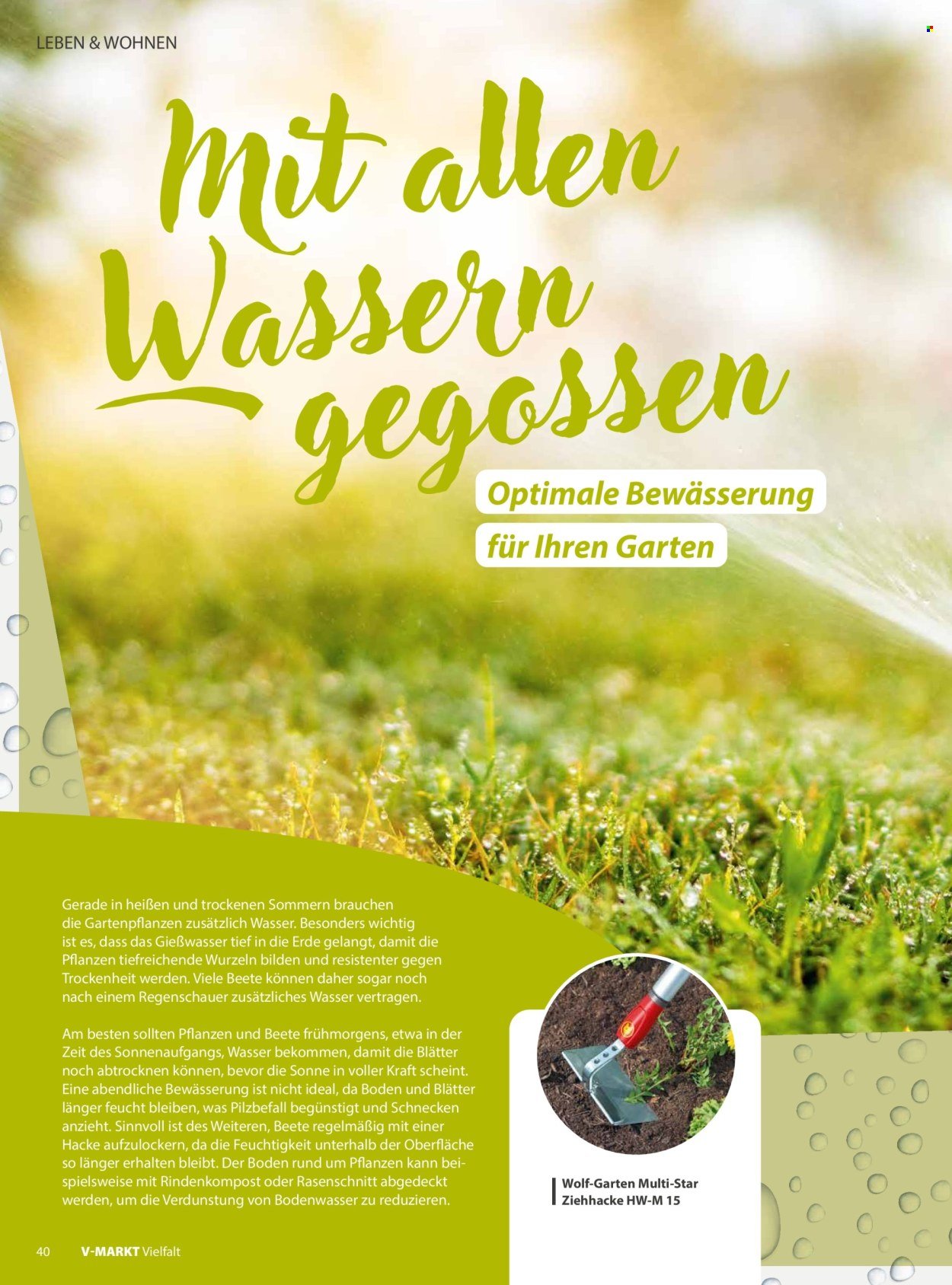 V-MARKT Prospekt - Vielfalt