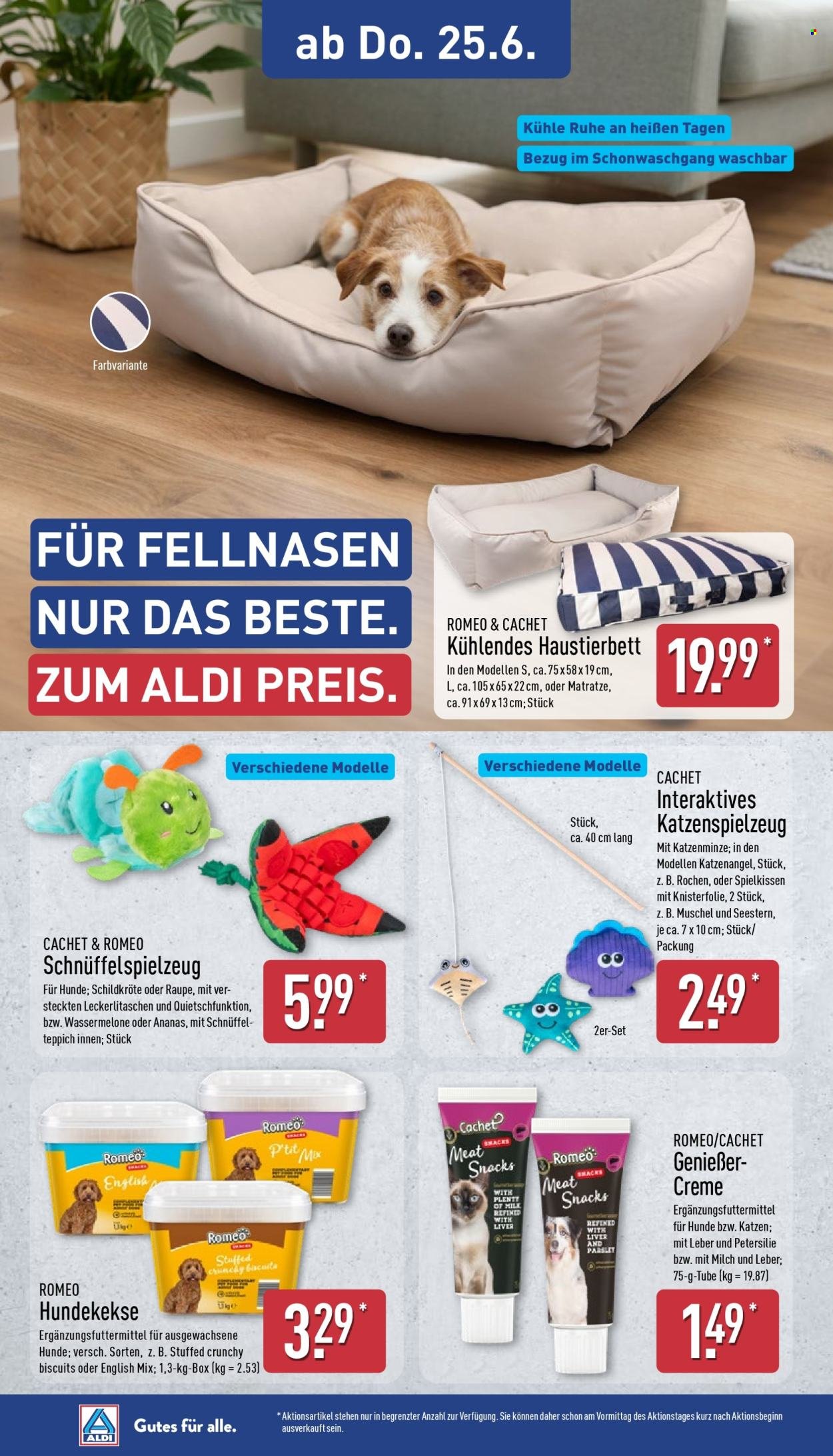 ALDI NORD Prospekt - Ab Montag 22.06.2026