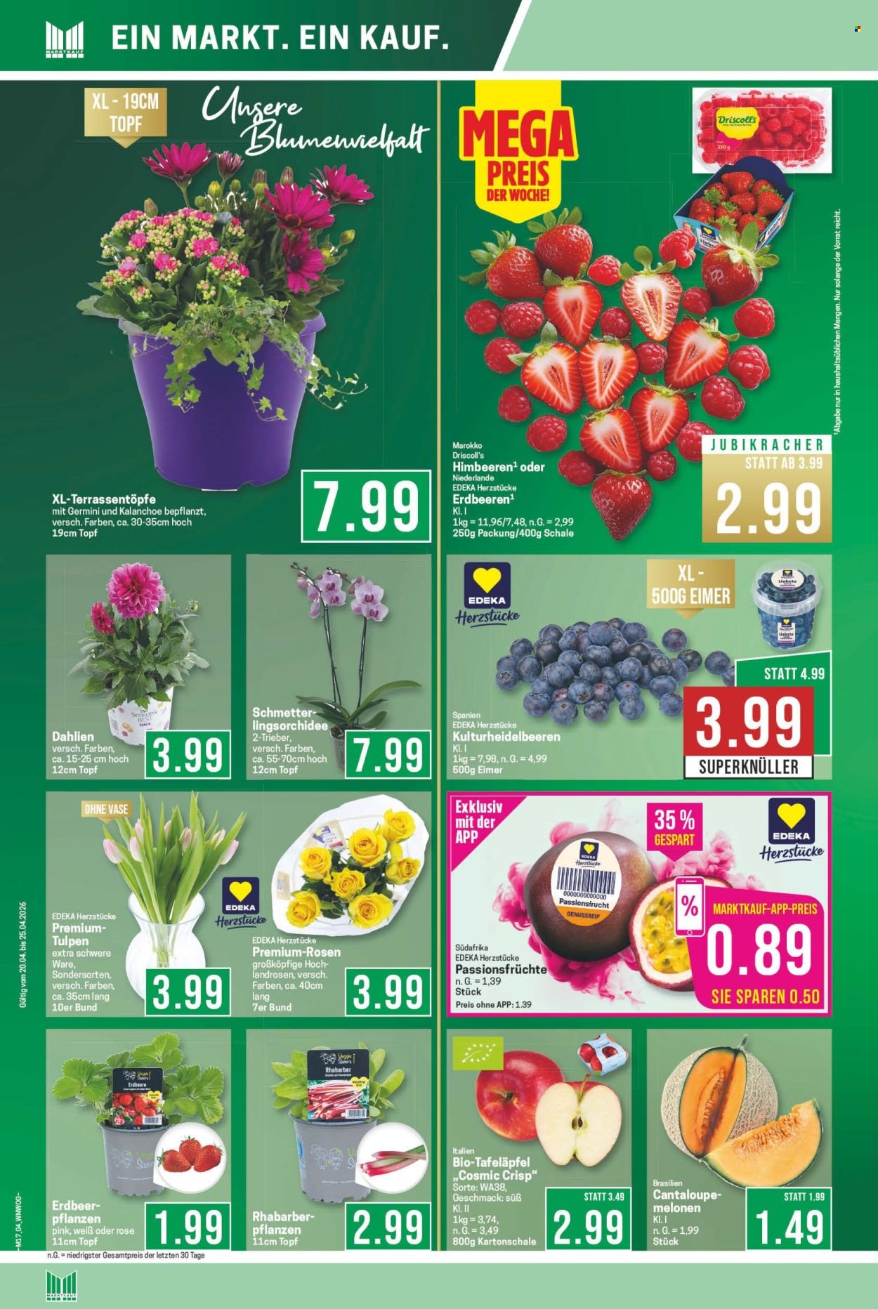 MARKTKAUF Prospekt - Ab Montag 20.04.2026 (2026-04-20 - 2026-04-25)
