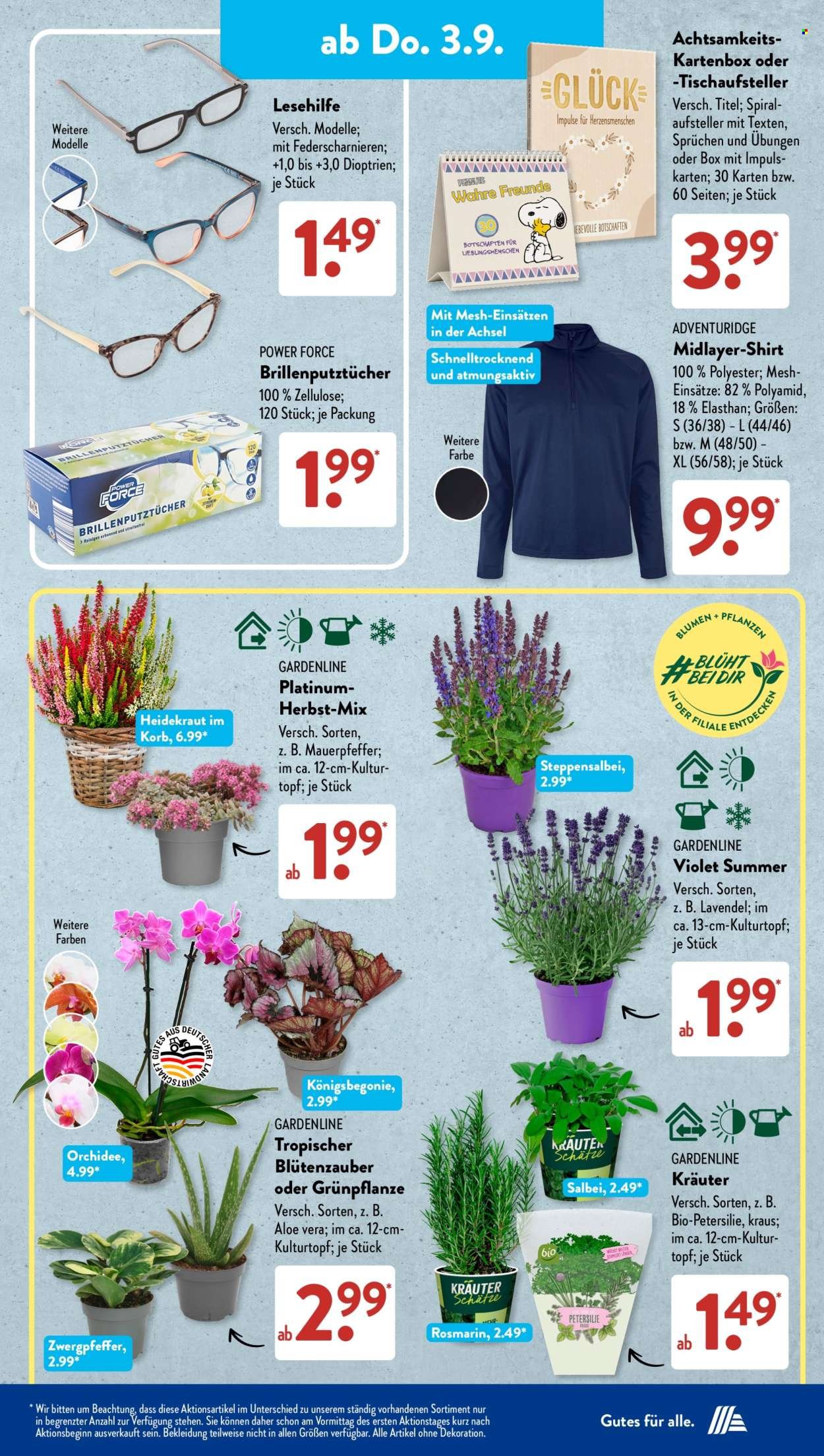 ALDI SÜD Prospekt - Ab Montag 31.08.2026