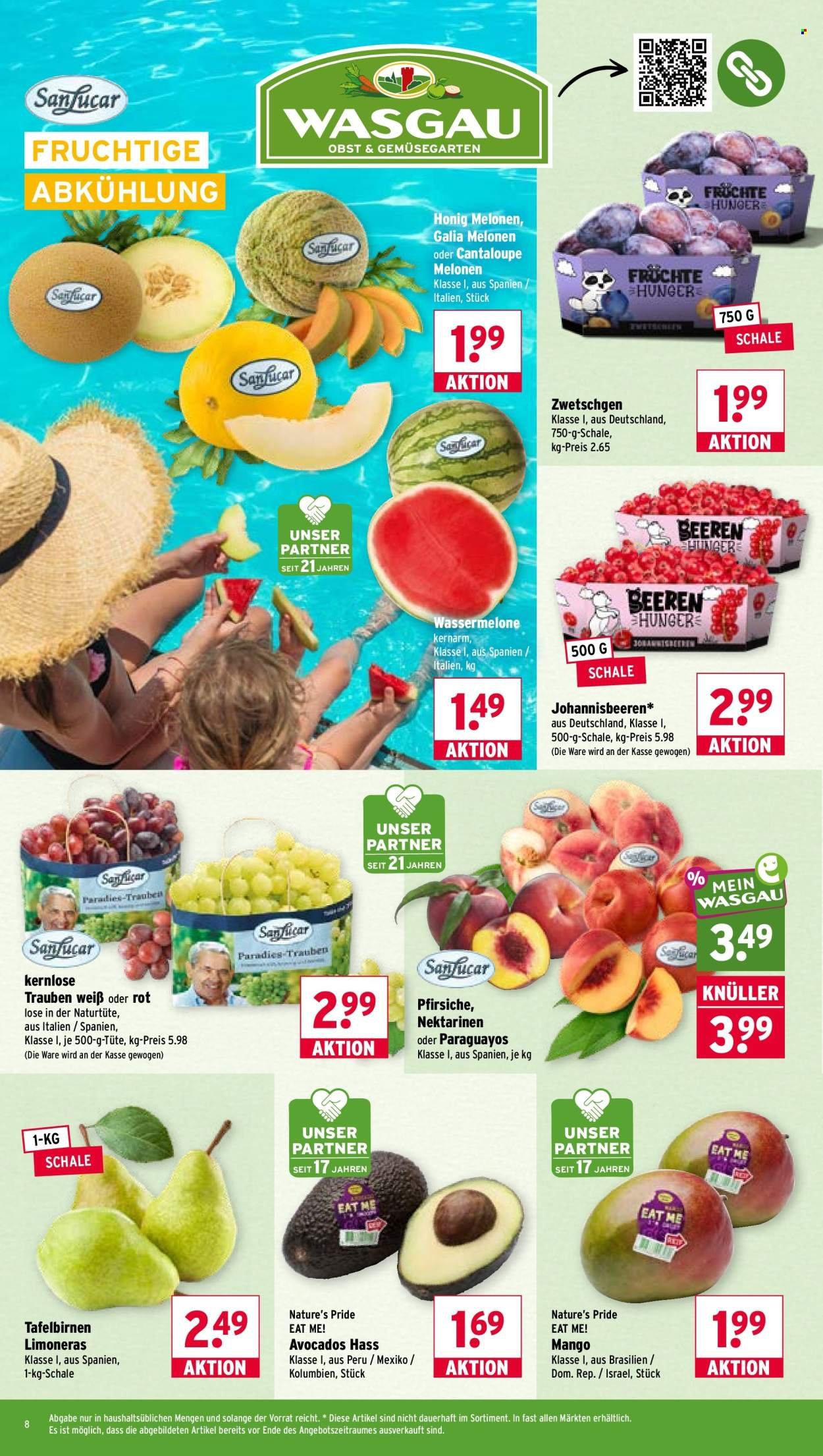 WASGAU Prospekt - Ab Montag 3.08.2026