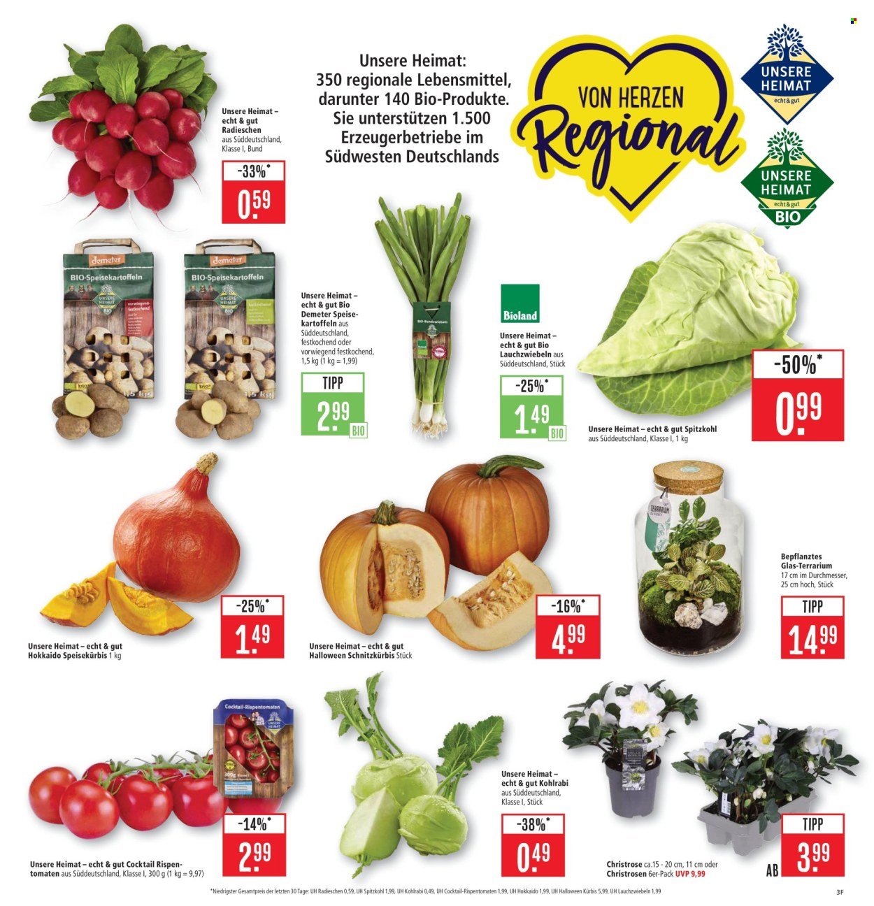 MARKTKAUF Prospekt - Ab Montag 6.10.2025 (2025-10-06 - 2025-10-11)