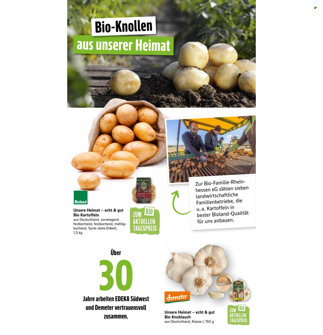 MARKTKAUF Prospekt - Ab Montag 6.10.2025 (2025-10-06 - 2025-10-11)