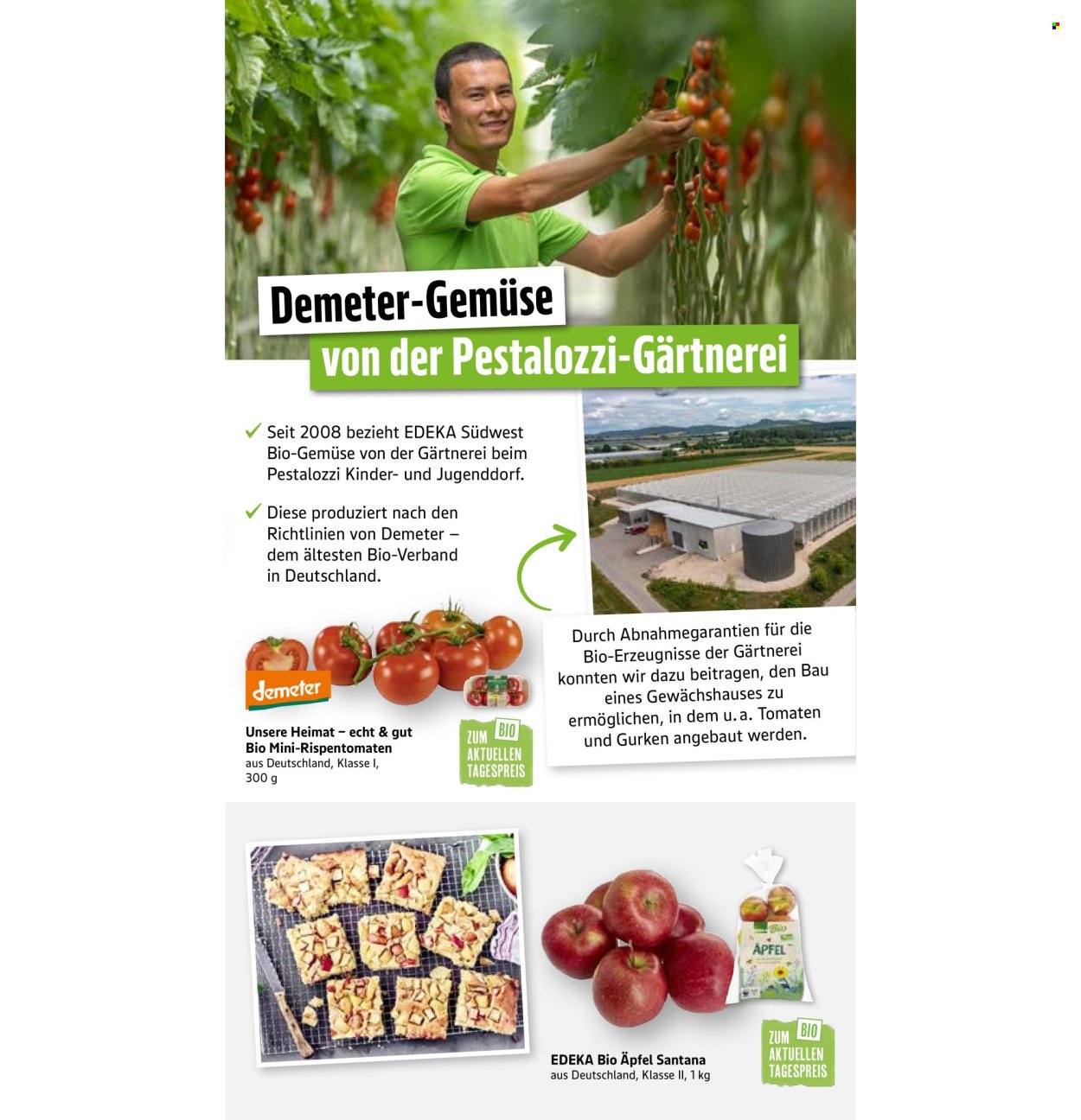 MARKTKAUF Prospekt - Ab Montag 6.10.2025 (2025-10-06 - 2025-10-11)