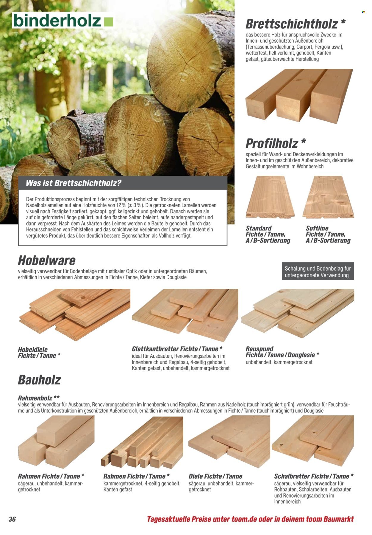 TOOM BAUMARKT Prospekt - Baustoffe & Bauelemente (2026-02-21 - 2026-06-30)