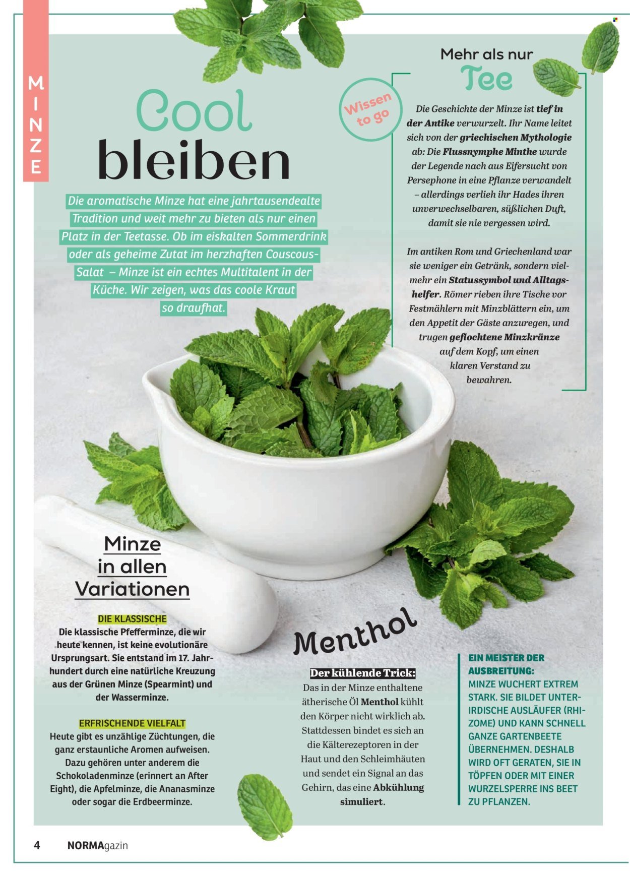 NORMA Prospekt - NORMAgazin (2026-05-01 - 2026-06-30)