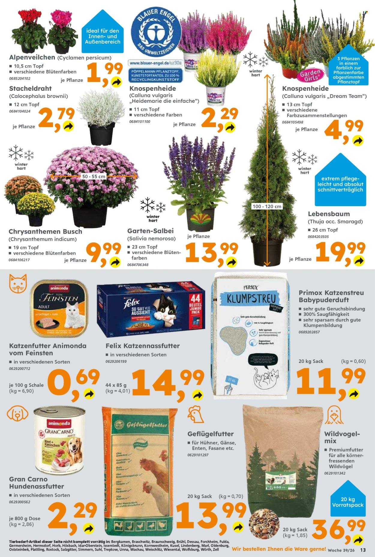 GLOBUS BAUMARKT Prospekt - Ab Montag 21.09.2026