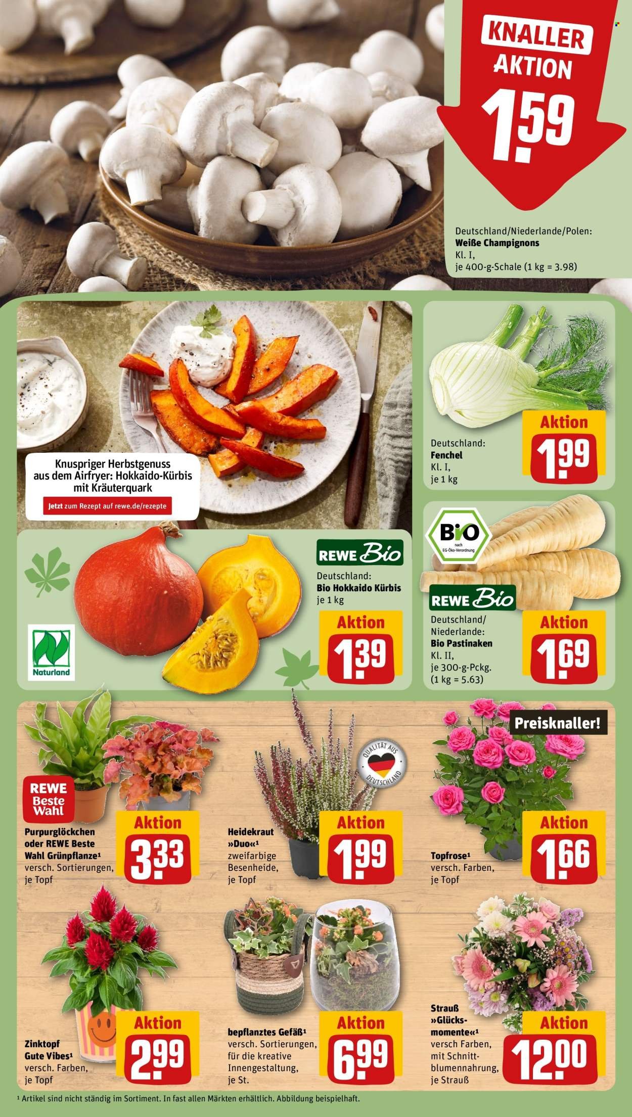 REWE Prospekt - Ab Montag 28.09.2026