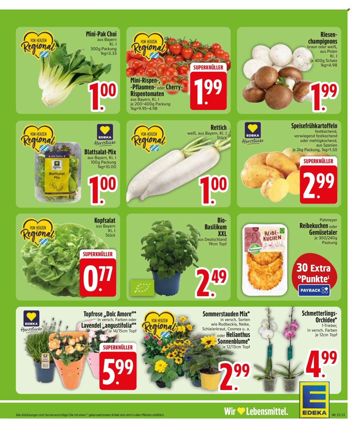 EDEKA Prospekt - Ab Montag 15.06.2026