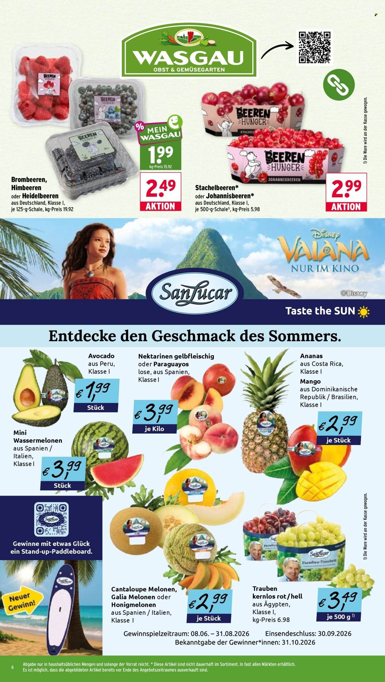 WASGAU Prospekt - Ab Montag 29.06.2026