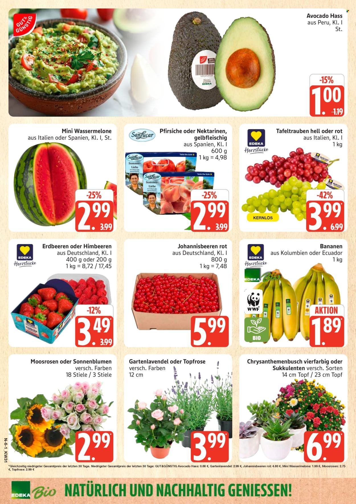 MARKTKAUF Prospekt - Ab Montag 27.07.2026