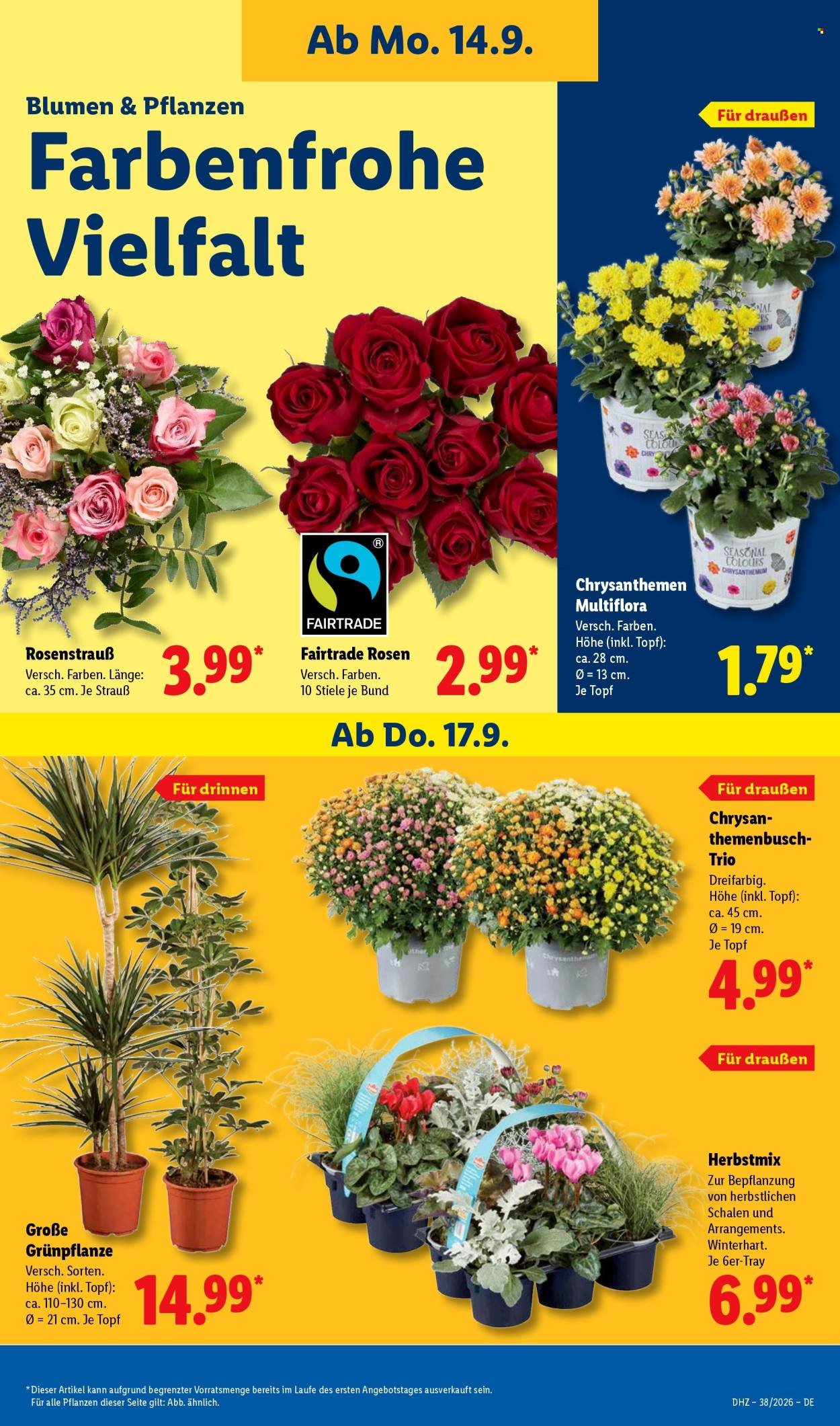 LIDL Prospekt - Ab Montag 14.09.2026