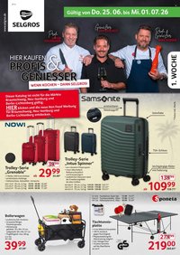 SELGROS Prospekt - Non Food