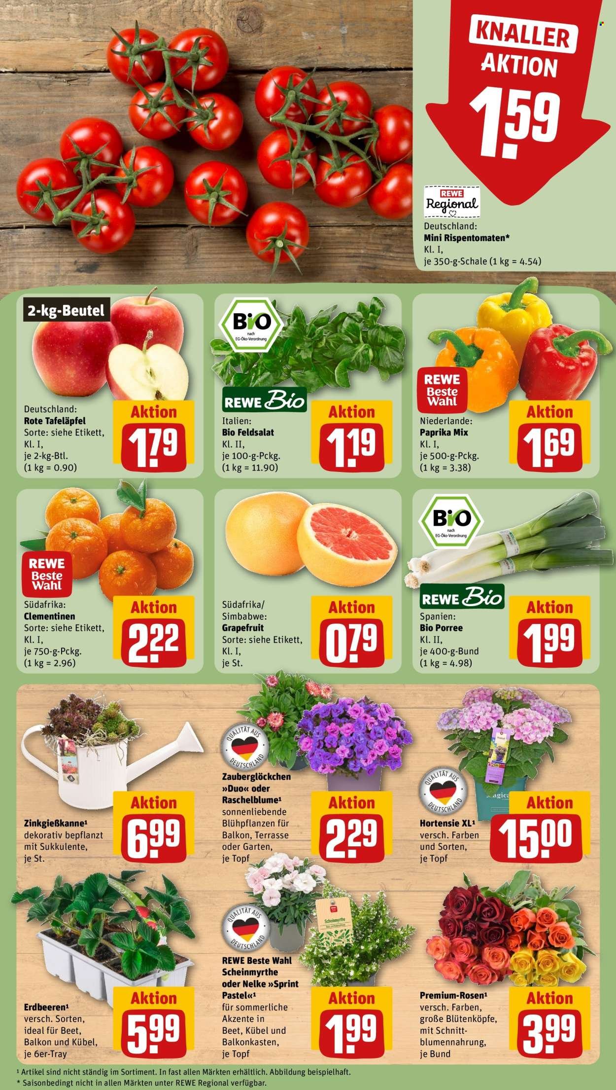 REWE Prospekt - Ab Montag 22.06.2026