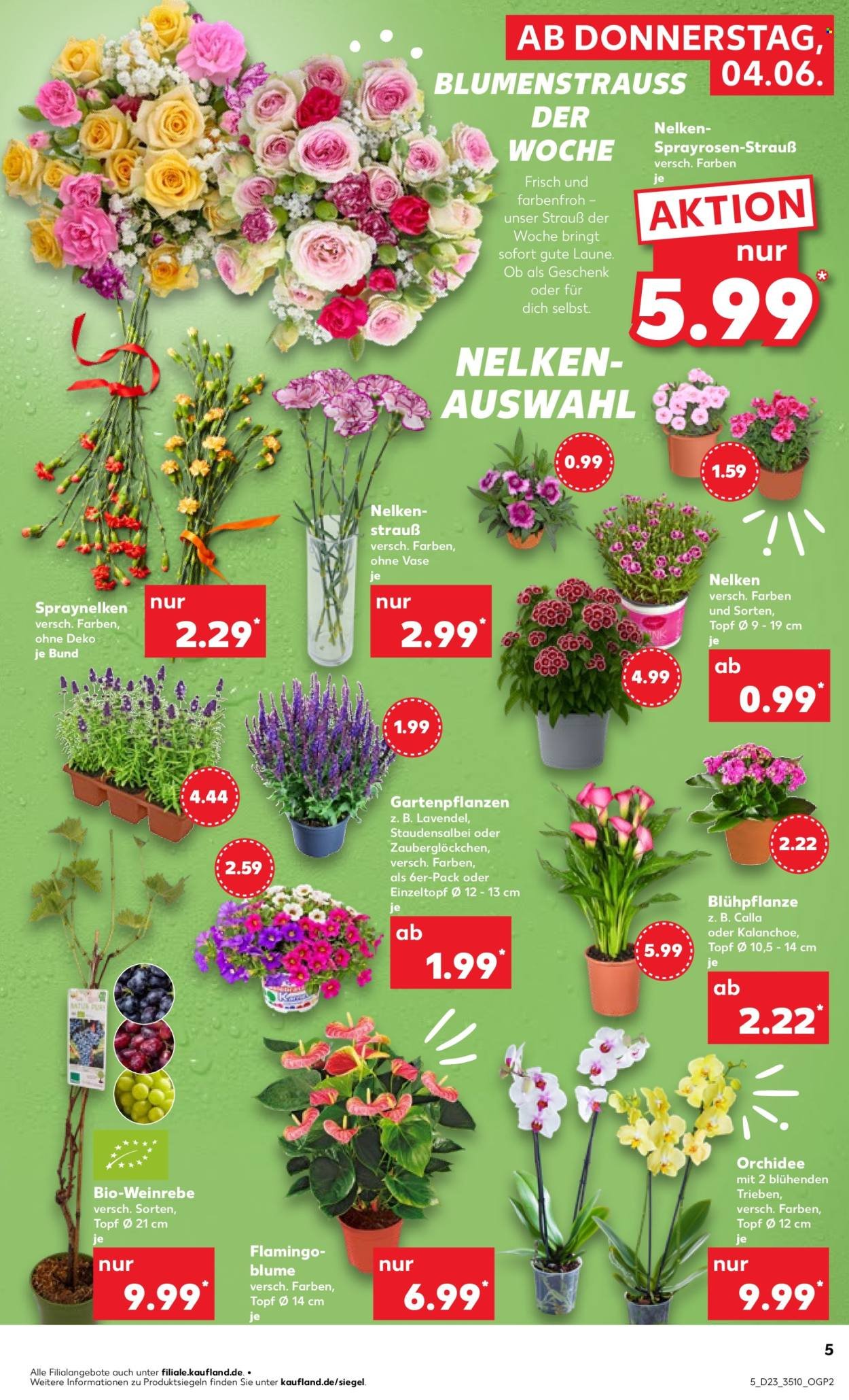 KAUFLAND Prospekt - Ab Donnerstag 4.06.2026