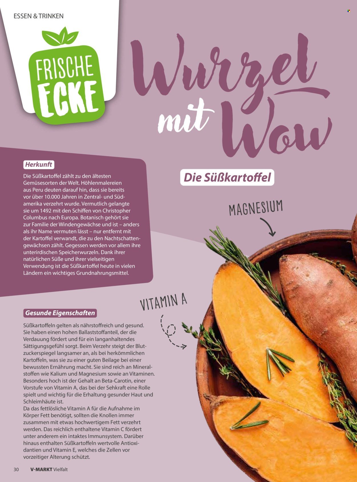 V-MARKT Prospekt - Vielfalt