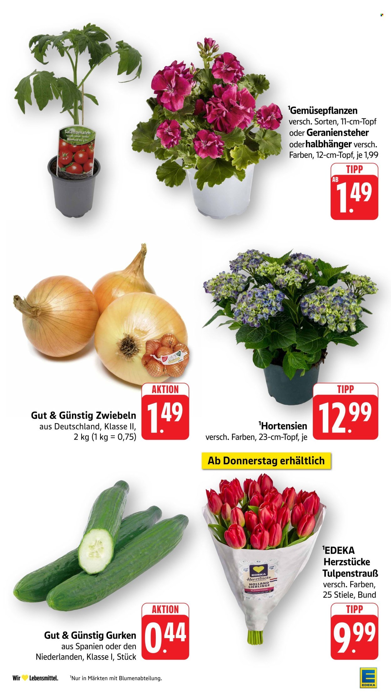 EDEKA Prospekt - Ab Montag 13.04.2026 (2026-04-13 - 2026-04-18)