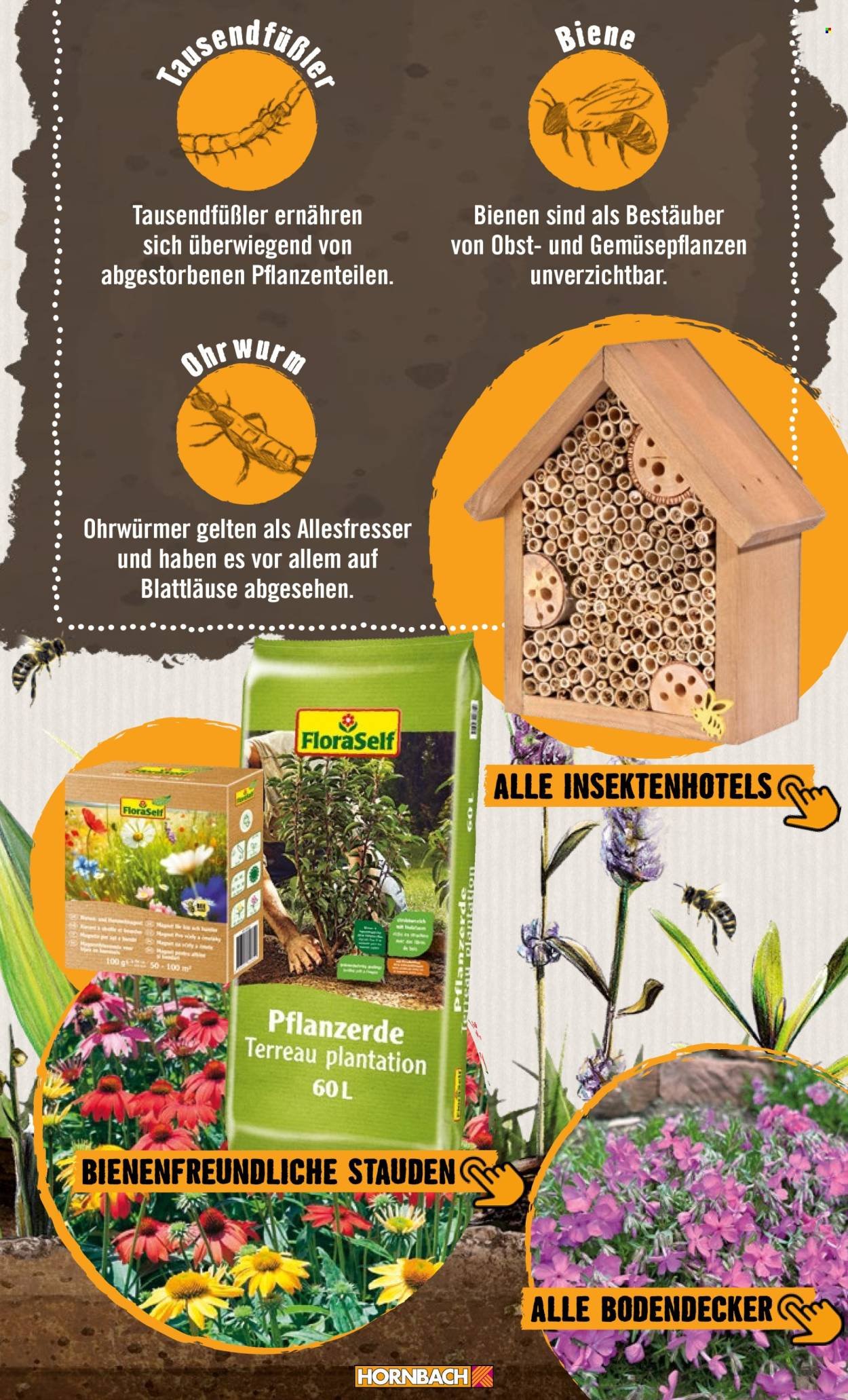 HORNBACH Angebote - Garten
