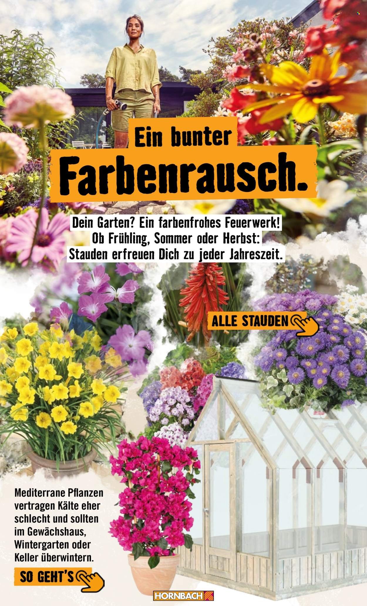 HORNBACH Angebote - Garten