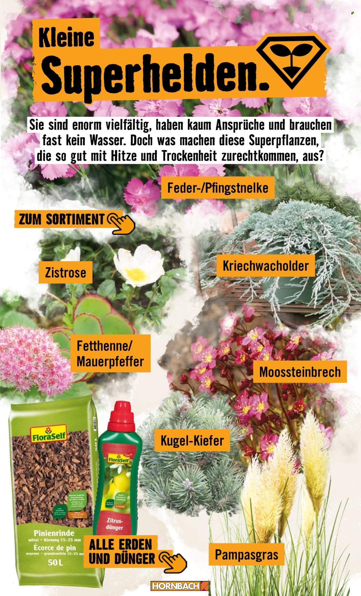 HORNBACH Angebote - Garten